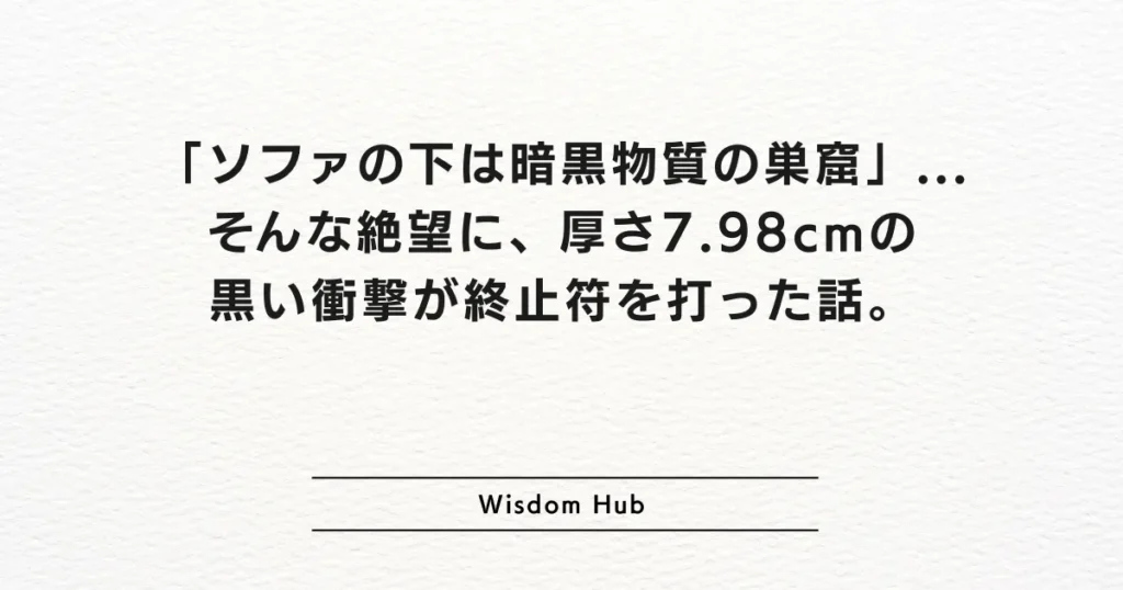 「ソファの下は暗黒物質の巣窟」...そんな絶望に、厚さ7.98cmの黒い衝撃が終止符を打った話。